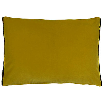 Designers Guild Cassia Velvet Cushion Alchemilla / Apple
